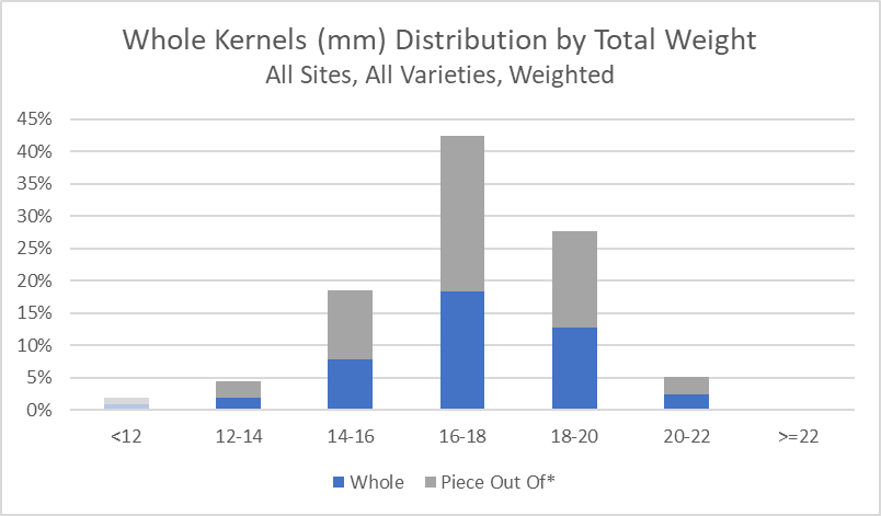 Size Distribution